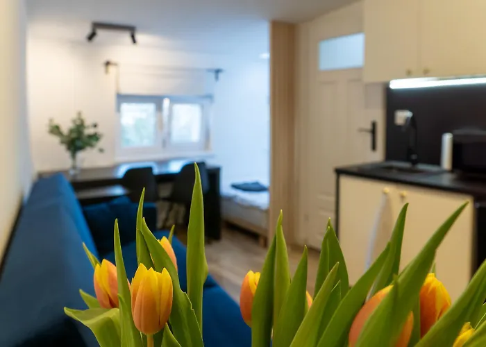 Mieszkanie Przy Bazarku - Apc Апартаменти