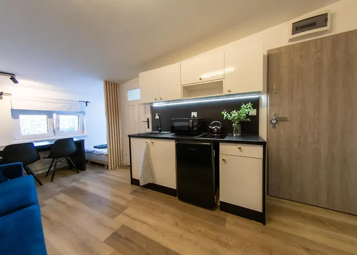 Mieszkanie Przy Bazarku - Apc * Познань