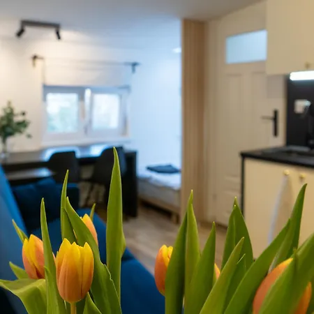 Mieszkanie Przy Bazarku - Apc Apartmán